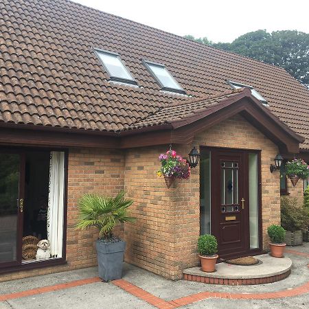 Bed and Breakfast The Firs - Englefied Studio Douglas Zewnętrze zdjęcie