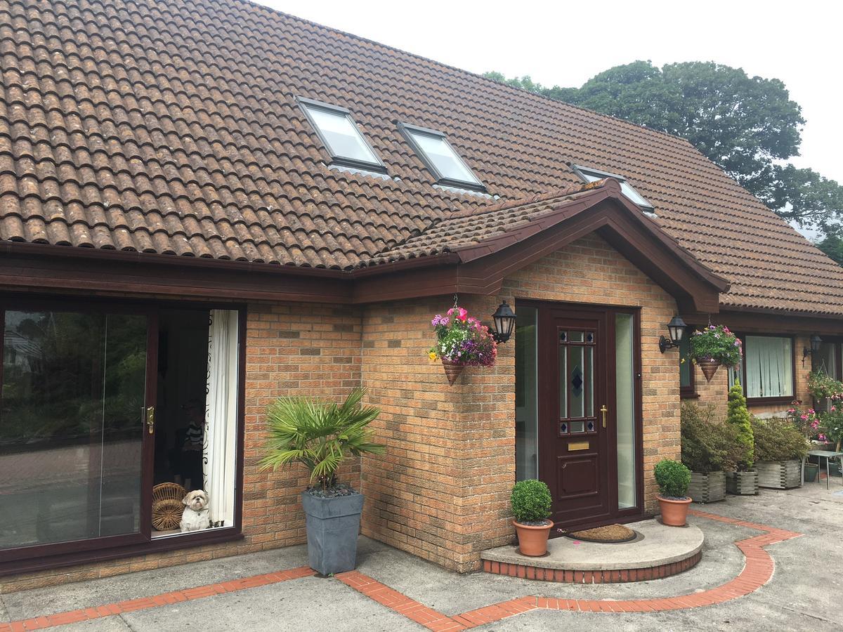 Bed and Breakfast The Firs - Englefied Studio Douglas Zewnętrze zdjęcie